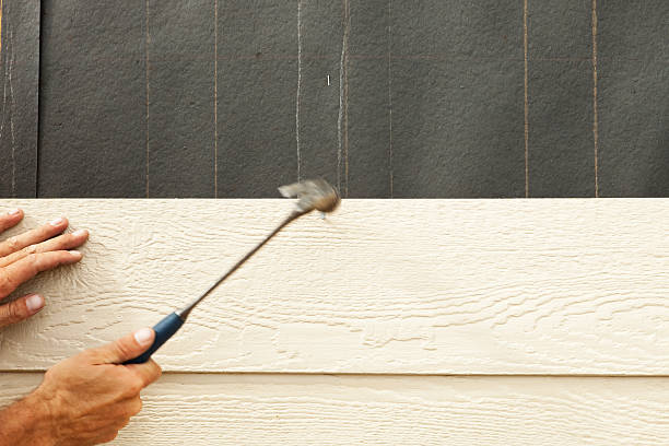 Best Custom Trim and Detailing for Siding  in Haverhill, FL